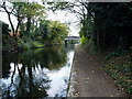 Grand Union canal, approaching Richmond Road bridge