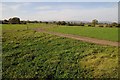 SO8541 : Meadowland near Ryall Court Farm by Philip Halling
