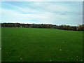 Sports Fields near Oakbrook Leisure Centre