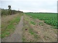 Bridleway heading south towards Lilley