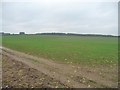 Farmland north of Mortgrove Farm