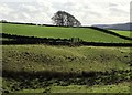 Derbyshire countryside east of Bath Lane