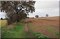 Footpath at edge of field, Spennells, Kidderminster