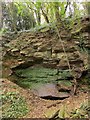 Quarry by the Frome