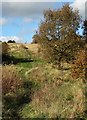 Path to the west of Birdholme