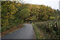 Autumn leaves and lane junction near Kerry