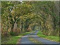 Minor road near Llanystumdwy, Llyn Peninsula