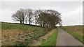 Minor road, Windy Hill