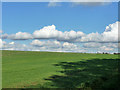 Field north of Redricks Lane