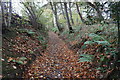 Bridleway above Cilthriew