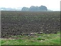 Greening field, south of Ion Lodge