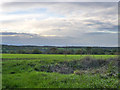 View west over the Stort valley