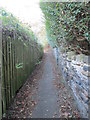 Footpath - Wiggan Lane