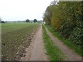 Bridleway to Silsoe