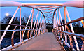 The Sam Thompson Bridge, Victoria Park, Belfast - November 2014(2)