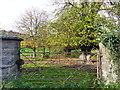 Gate at Trewyn Lodge, Pandy