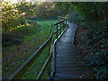 SU8969 : Boardwalk, Longhill Park by Alan Hunt