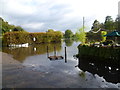 High tide at Riverside, Twickenham