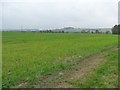 Farmland south of Westhey Manor