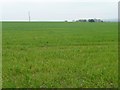 Farmland rising to just over 65 metres above sea level