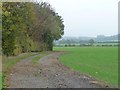 TL0932 : Track along field edge, Manor Farm by Christine Johnstone