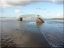NT6678 : Coastal East Lothian : Slippery When Wet by Richard West