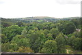 Pennine view from the viaduct