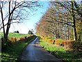 Country lane near the Flatt Farm