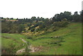 Countryside by the railway line