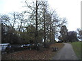 Path in Friary Park, North Finchley