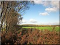 Farmland by the A388