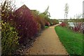 Circular Walk around Furzton Lake