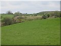 Railway embankment, Tandlehill