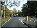 A33 The Avenue at Banister Park