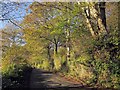 SX3869 : Callington Road by Derek Harper
