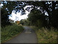 Track past Eastwood Farm