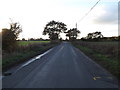 TM1882 : Harleston Road, Rushall by Geographer