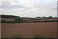 SK7276 : Farmland south of Gamston Wood by N Chadwick