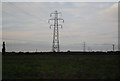 Pylons near Trinity Farm