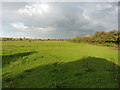 Footpath towards the motorways