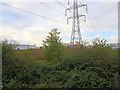 Waste ground under the power lines