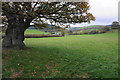 Field near Drefor Farm