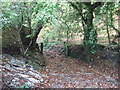 Gated track into woodland