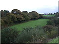 Farmland off the A39