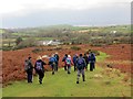 Tuag at Ffarm Hillend / Towards Hillend Farm