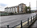 Albert Bridge and St George