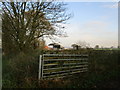 Gate and South Common Farm