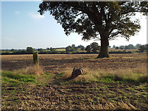 SP2079 : Footpath crosses a token field boundary east of Northfields Farm, Walsal End by Robin Stott