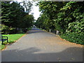 Peel Park - The Promenade