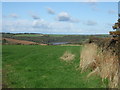 Grazing off National Cycle Route 3